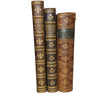 Decorative 1889-1922 Collection of Science, Maths & Sports Books (3 Books)
