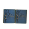 Wild Flowers, First & Second Series by Anne Pratt, 1902 (2 Books)