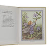 Flower Fairies of the Garden by Cicely Mary Barker - Marks and Spencer 1988