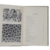 Rocks and Fossils and How to Identify Them by J, H. Crabtree - Epworth