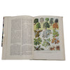 The Nature Lover's Recognition Book by Brian Vesey-Fitzgerald - First Edition, 1956