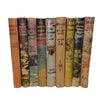 Biggles Collection by Capt. W. E. Johns, c.1960s (9 Books)