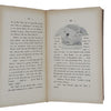 Rudyard Kipling's Das Dschungelbuch - Freidrich Ernst Fehienfeld 1923