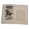 Black Beauty by Anna Sewell - Treasure Library