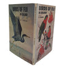 Birds of Fiji in Colour by W. J. Belcher - First Edition, 1972