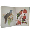Birds of Fiji in Colour by W. J. Belcher - First Edition, 1972