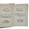 The People's Cookery Book by Eliza Acton - Simpkin Marshall, Hamilton, Kent & Co.