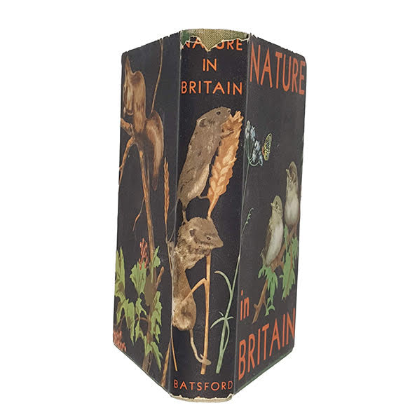 Nature in Britain: An Illustrated Survey - Batsford, 1942