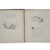 Nonsense Songs & Stories by Edward Lear - Warne