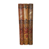 The Elsie Books by Martha Finley (3 Books)