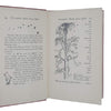 A.A. Milne's The Christopher Robin Story Book - Methuen 1970