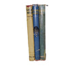 Wuthering Heights, Good Wives, Villette (3 Books)