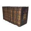 The Century Bible Illustrated (9 Books)