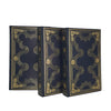 An Intellectual and Cultural History of the Western World, Volumes 1-3