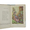 Flower Fairies of the Wayside by Cicely Mary Barker - Blackie