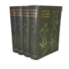 Familiar Wild Flowers by F. Edward Hulme - 4 Books