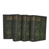 Familiar Wild Flowers by F. Edward Hulme - 4 Books