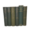 John Ruskin Collected Works - George Allen, 1893 (16 Books)