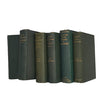 John Ruskin Collected Works - George Allen, 1893 (16 Books)