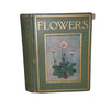 Flowers by Janet Harvey Kelman