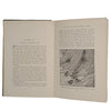 Nature's Craftsmen by H. C. McCook - Harper, 1907