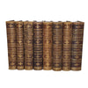 Charles Dickens Collected Works - Chapman and Hall, 1877 (8 Books)