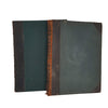 Charles Dickens' David Copperfield and Our Mutual Friend