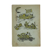 Edward Lear's Nonsense Songs - Chatto 1953