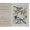 Birds of the Field and Woodland by Eric Tansley - Blackie