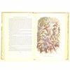Mark Twain's The Adventures of Tom Sawyer - Heirloom