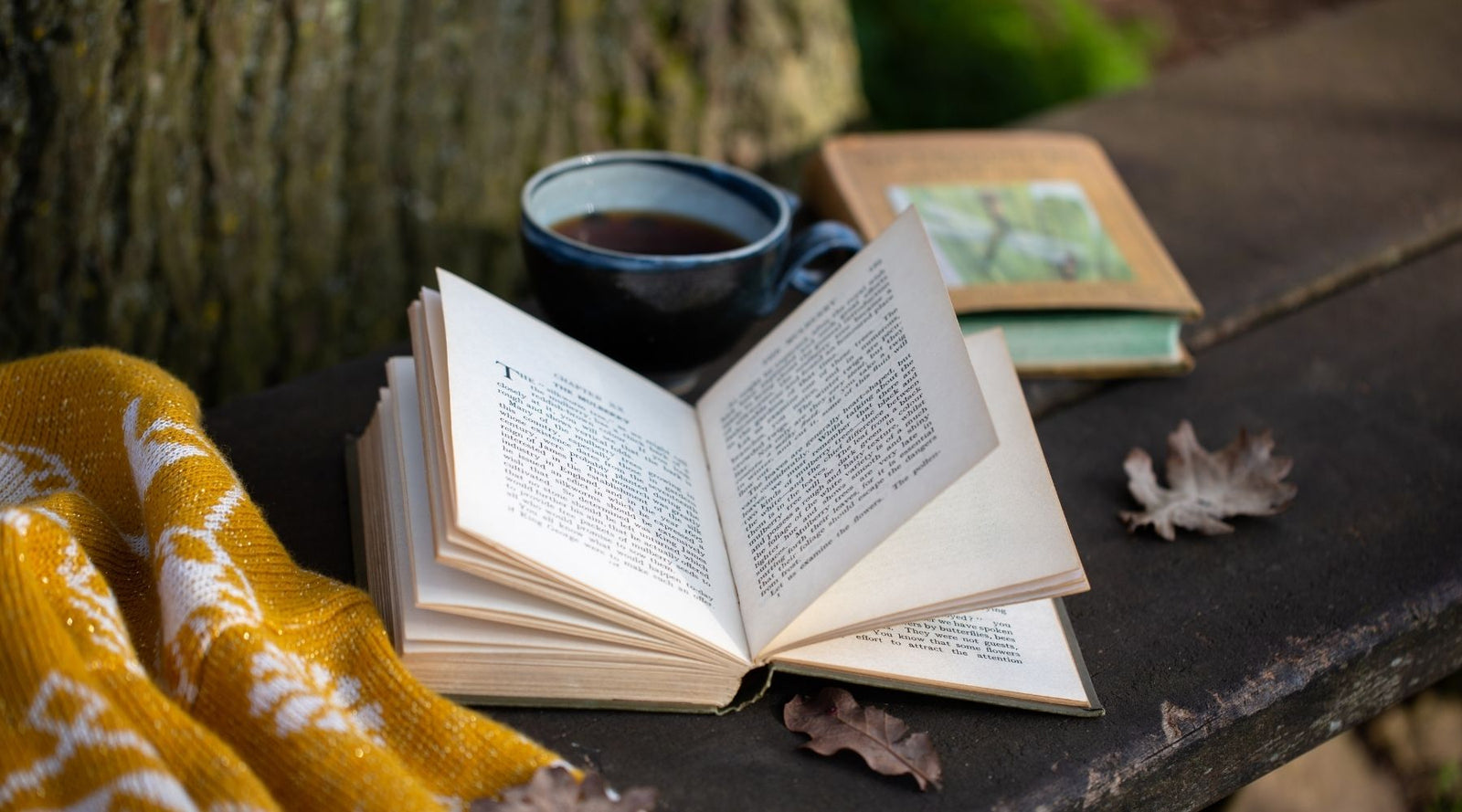 John’s Adventures - A Tale of Old England