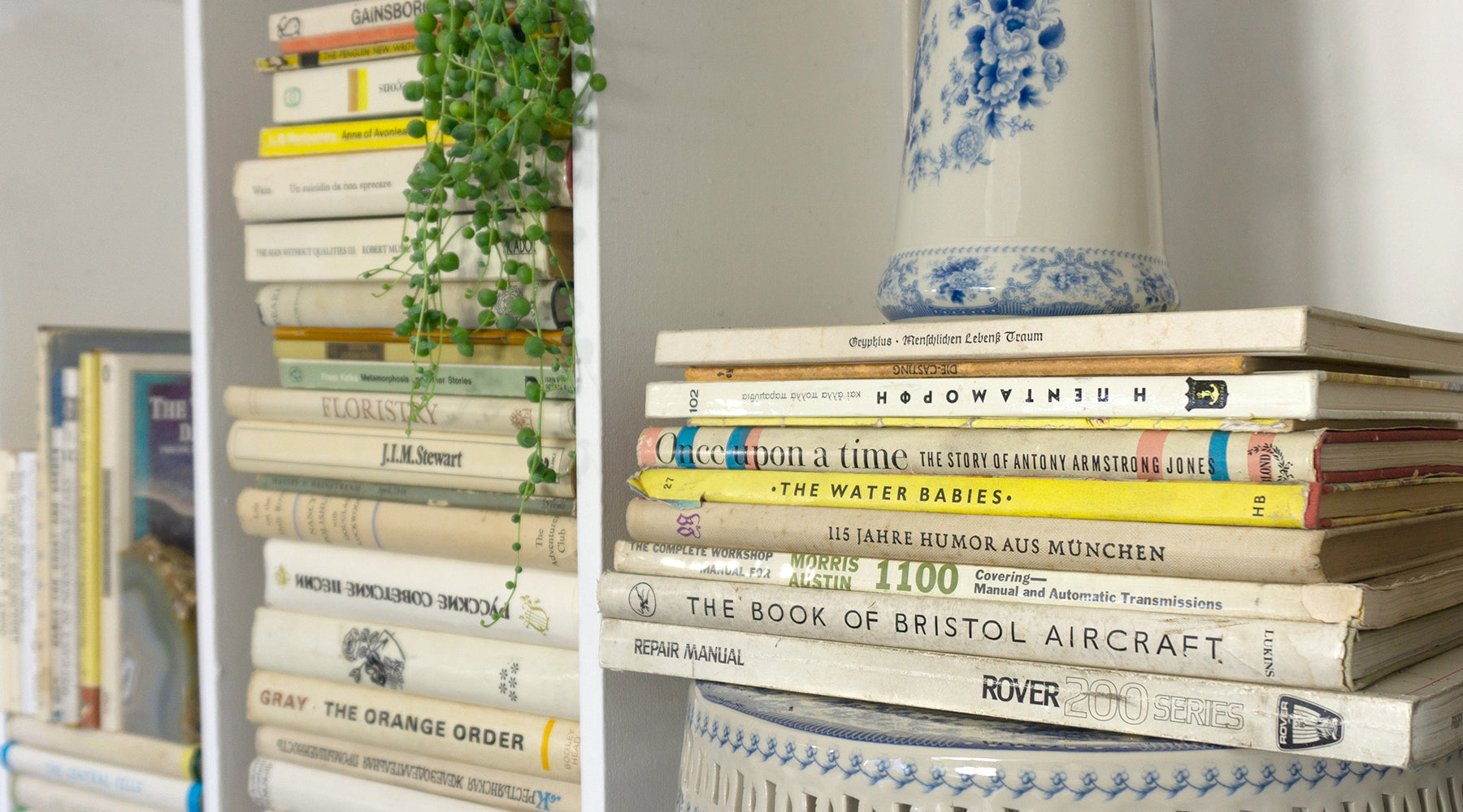 How to create a chic shelfie | Country House Library Style