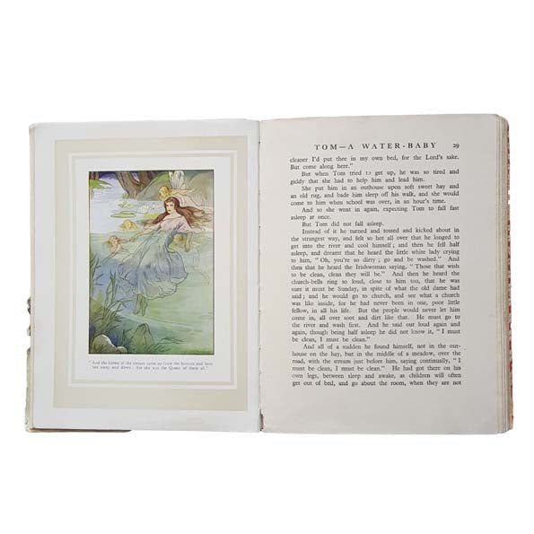 Illustrated The Water Babies by Charles Kingsley - Ward Lock