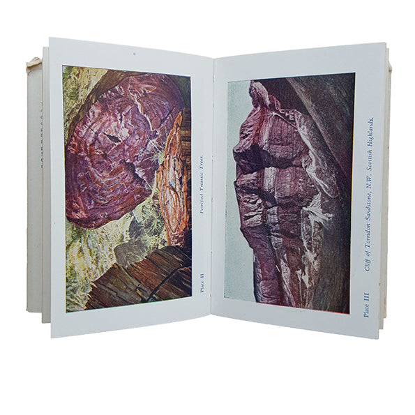 The Observer's Book of Geology by I. O. Evans (#10) NO DJ LAMINATED