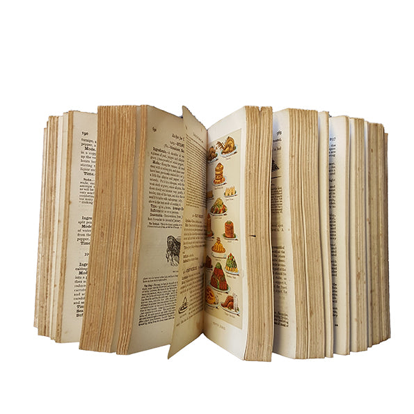 Mrs. Beeton's Book of Household Management, 1901 Illustrated