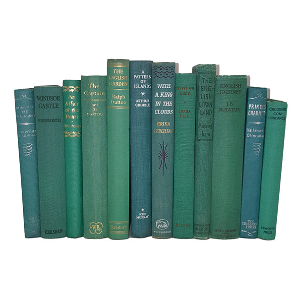 Books By The Foot: Vintage Turquoise / Neo Mint Collection