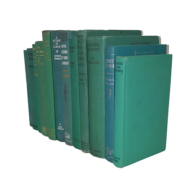 Books By The Foot: Vintage Turquoise / Neo Mint Collection