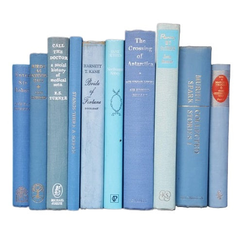 Books By The Foot: Pale Blue Collection
