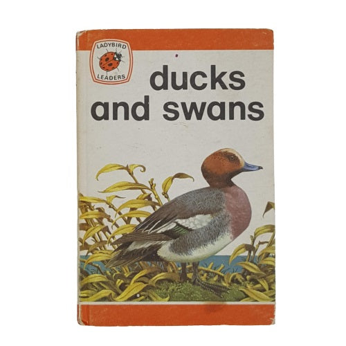 Ladybird 737 Leaders: Ducks and Swans 1973