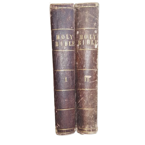 Holy Bible Volume I and II - Cassell, Petter and Galpin