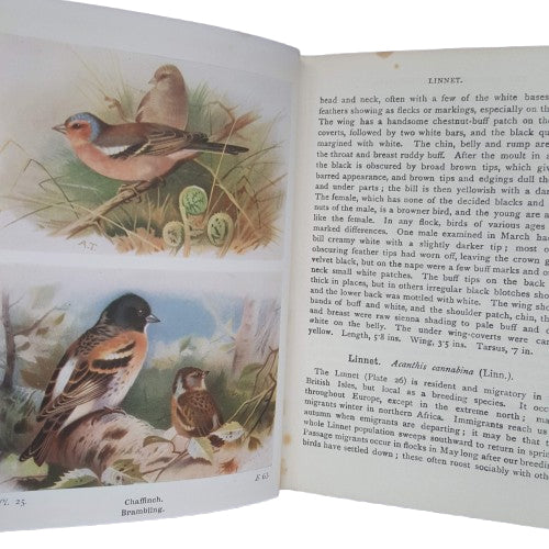 The Birds of the British Isles and their Eggs I &amp; II by T.A. Coward - Warne, 1932-3
