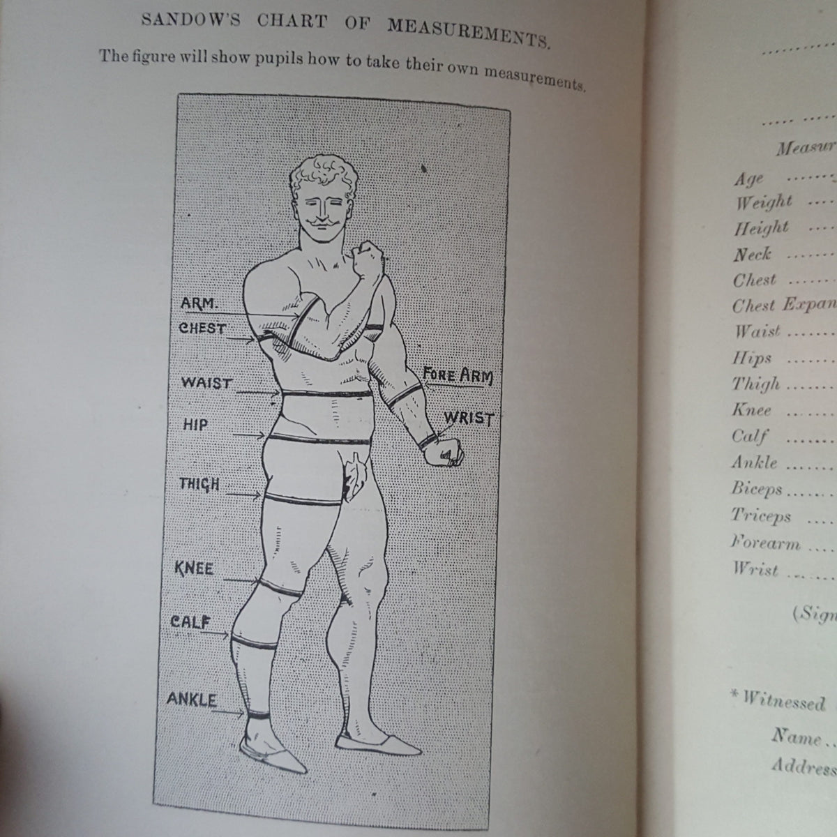 Strength and How to Obtain it by Eugen Sandow - Gale &amp; Polden 1897