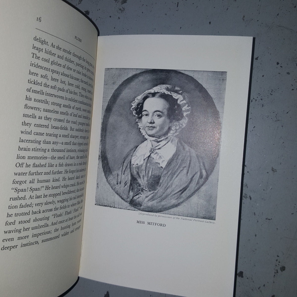 Virginia Woolf's Flush: A Biography 1933