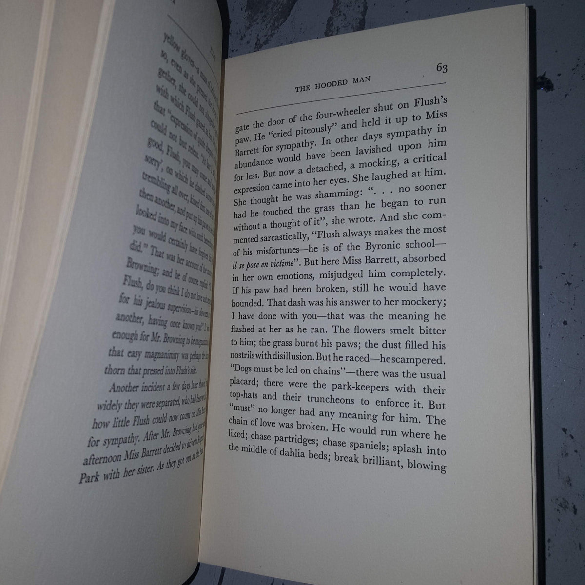 Virginia Woolf's Flush: A Biography 1933