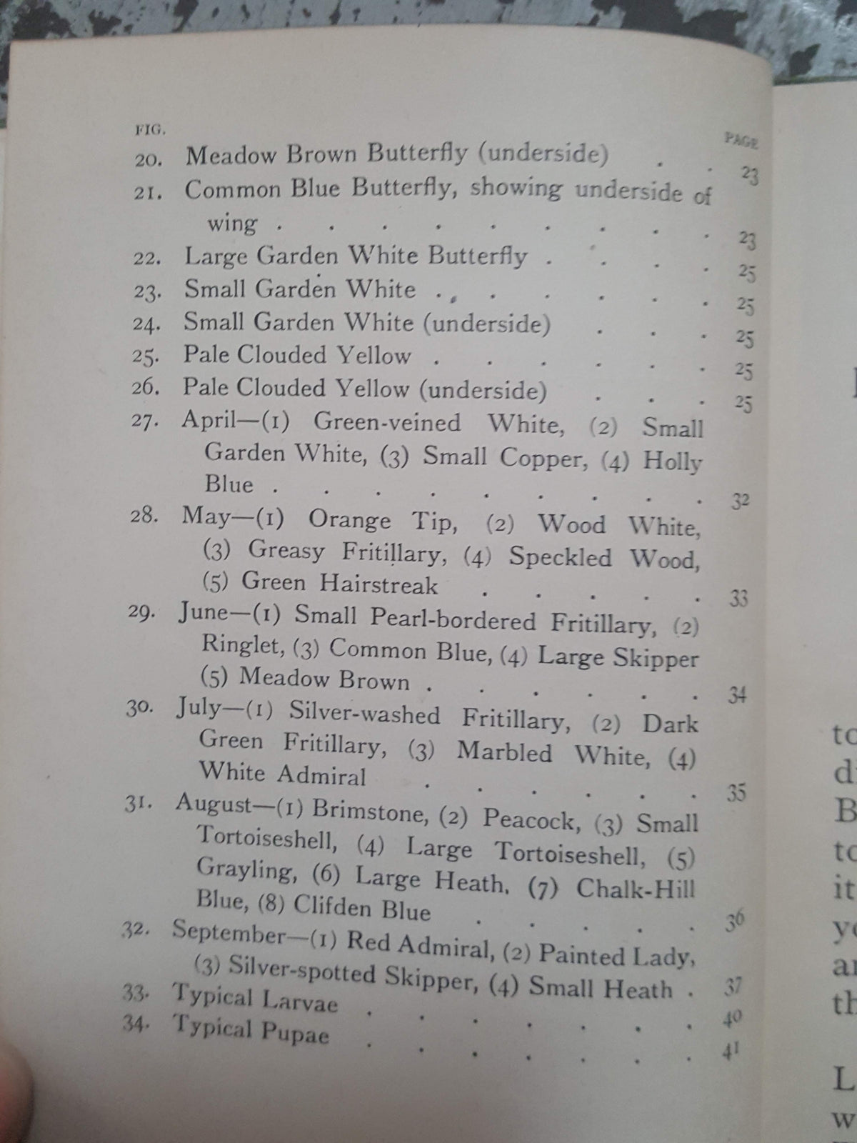 Butterflies and how to identify them by  S. N. Sedgwick - Epworth Press, 1919