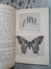 Butterflies and how to identify them by  S. N. Sedgwick - Epworth Press, 1919