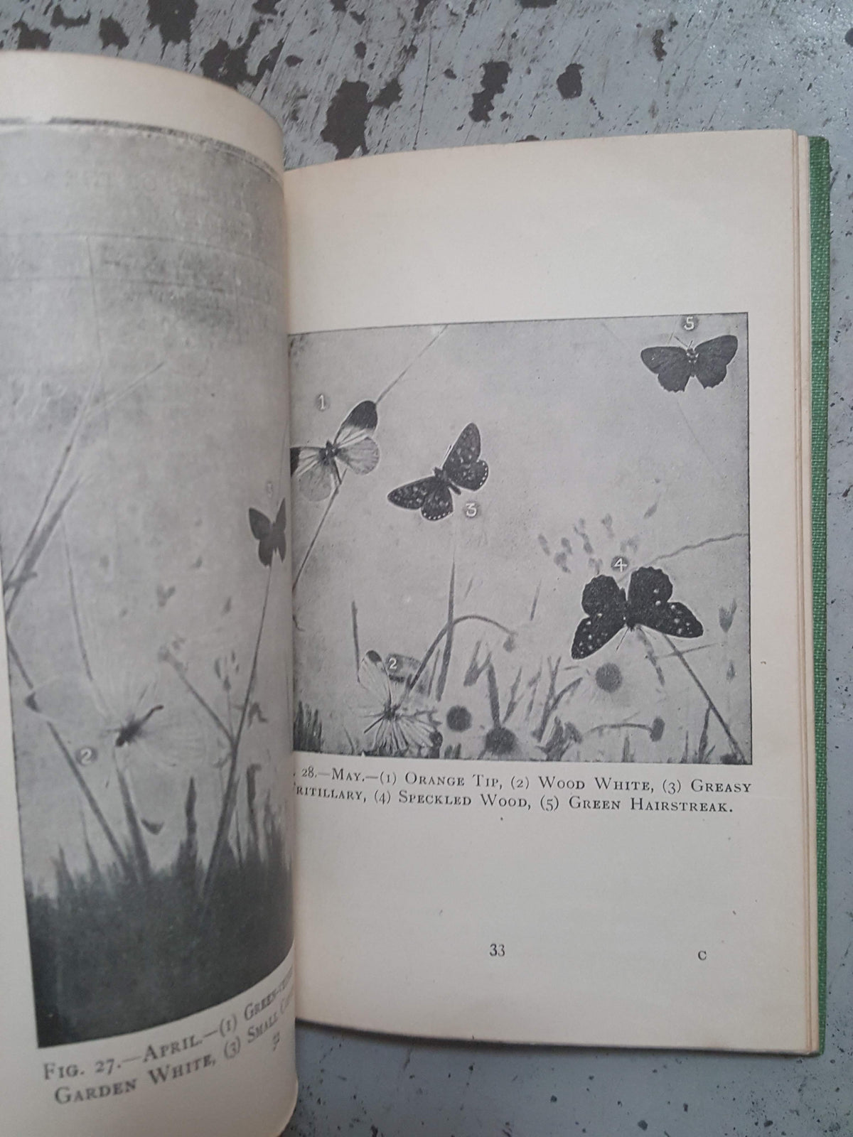 Butterflies and how to identify them by  S. N. Sedgwick - Epworth Press, 1919