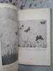 Butterflies and how to identify them by  S. N. Sedgwick - Epworth Press, 1919