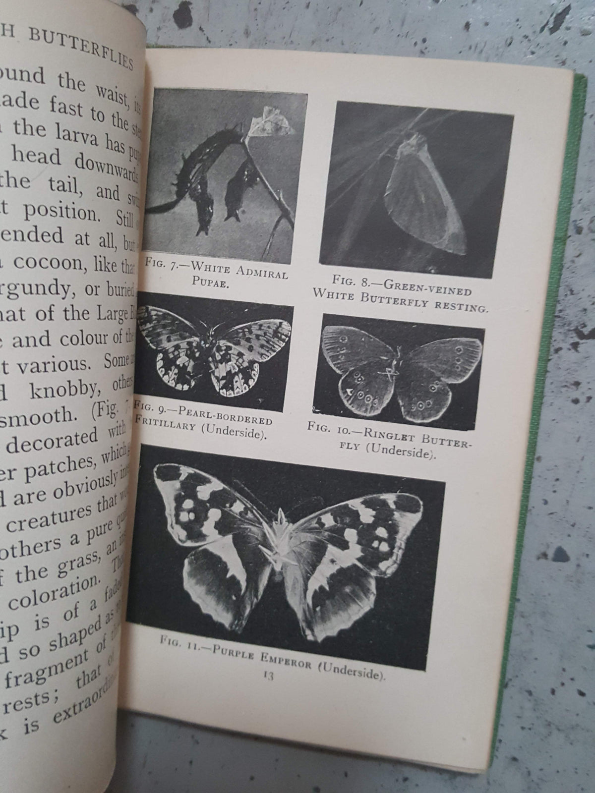 Butterflies and how to identify them by  S. N. Sedgwick - Epworth Press, 1919