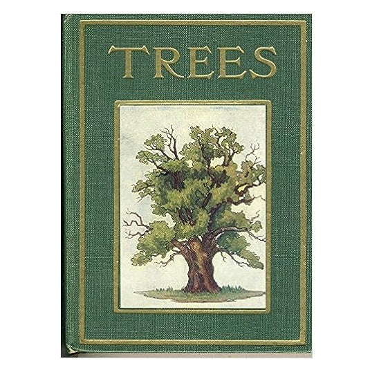Trees Shown To The Children by Janet Harvey Kelman c1910